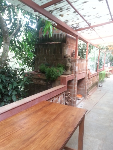 5 месяцев в Индии или краткий путеводитель по Керале ( Кочи, Аллепи, Муннар)