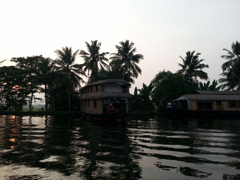 5 месяцев в Индии или краткий путеводитель по Керале ( Кочи, Аллепи, Муннар)