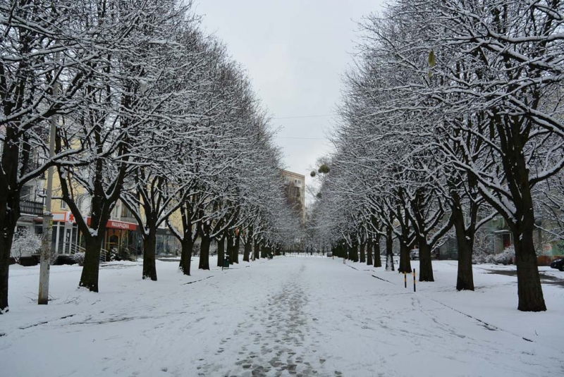 Калининград. Дальневосточник на крайнем западе России. 17-23 марта 2016.