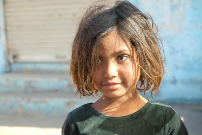 Критика Маршрута–Дели-Агра-Джайпур-Пушкар-Удайпур-Джодхпур-Джайсалмер-Биканер-Мандава-Дели