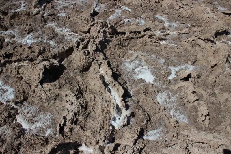 США с Востока на Запад: через горы, пляжи и песочницу