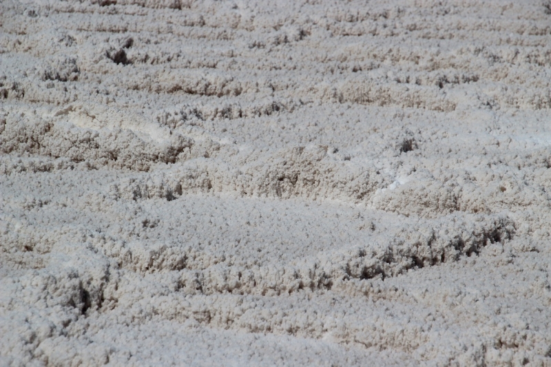 США с Востока на Запад: через горы, пляжи и песочницу