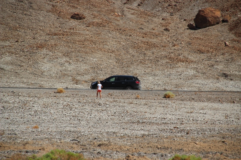 США с Востока на Запад: через горы, пляжи и песочницу