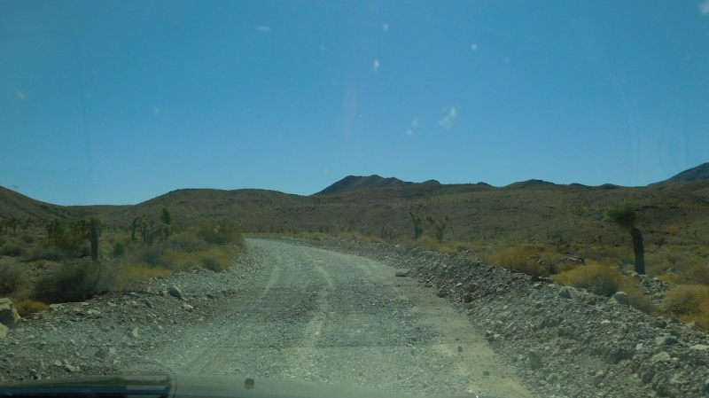 США с Востока на Запад: через горы, пляжи и песочницу