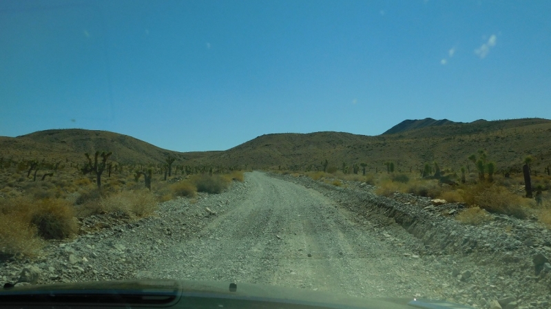 США с Востока на Запад: через горы, пляжи и песочницу