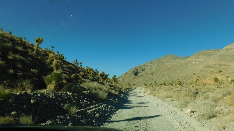 США с Востока на Запад: через горы, пляжи и песочницу