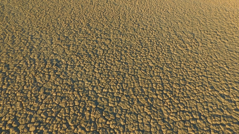 США с Востока на Запад: через горы, пляжи и песочницу