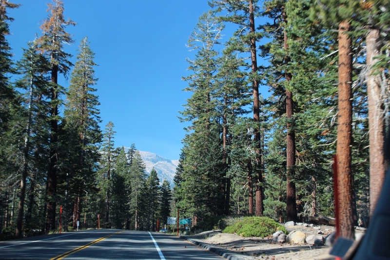 США с Востока на Запад: через горы, пляжи и песочницу