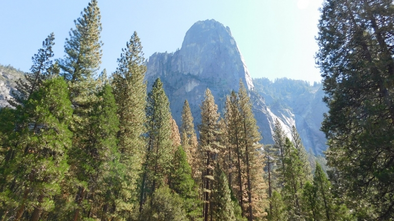 США с Востока на Запад: через горы, пляжи и песочницу