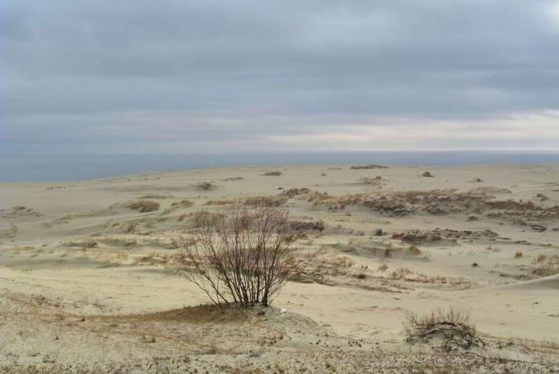 Калининград. Дальневосточник на крайнем западе России. 17-23 марта 2016.