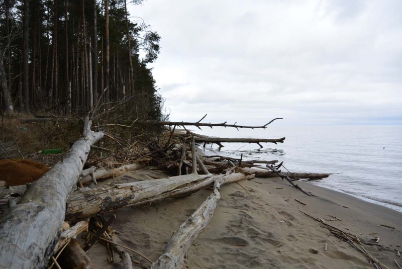 Калининград. Дальневосточник на крайнем западе России. 17-23 марта 2016.