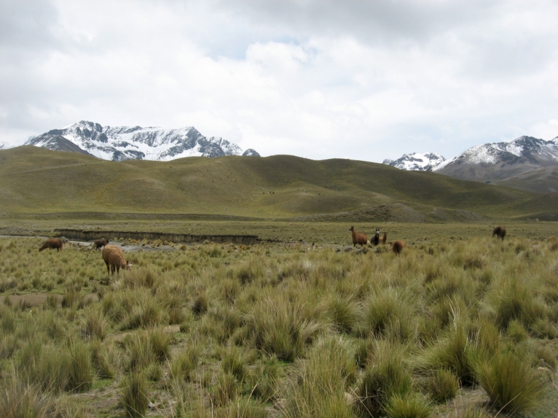 Горы Боливии и глубинка Перу (максимально дешево и пешеходно)
