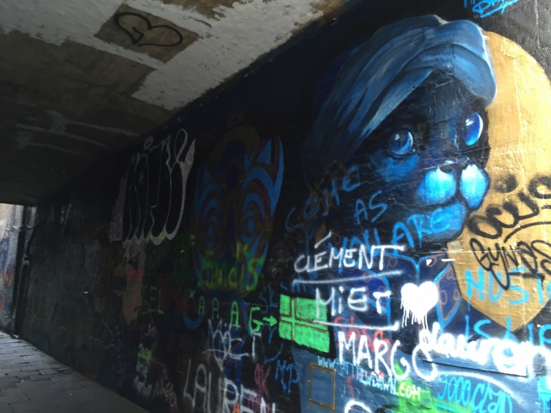 Поговорим о кошках39