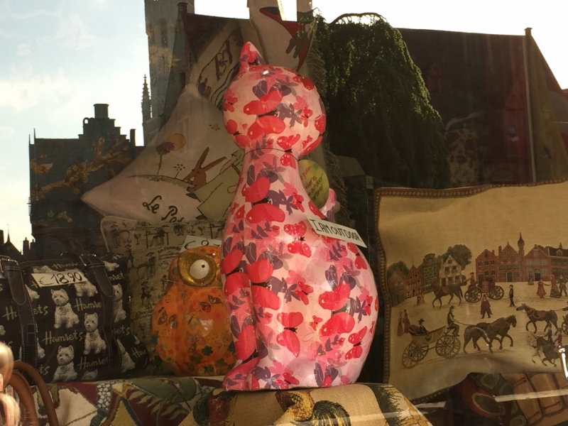 Поговорим о кошках39