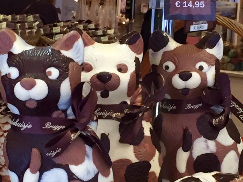 Поговорим о кошках39