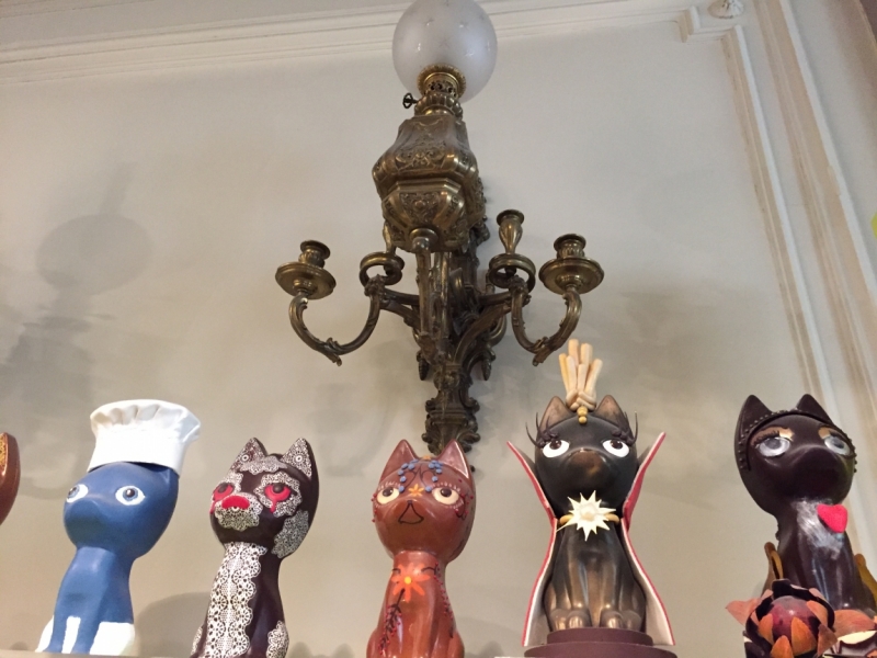 Поговорим о кошках39