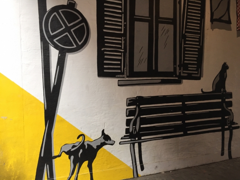 Поговорим о кошках39