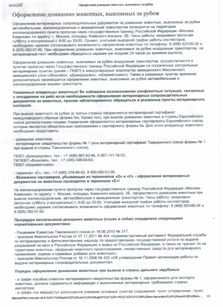 Как путешествовать с собакой в машине