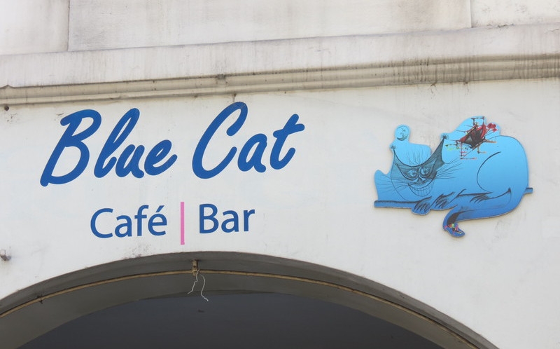 Поговорим о кошках39