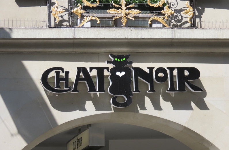 Поговорим о кошках39