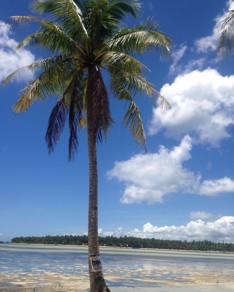 Siargao, который оправдал наши ожидания.Немного о водопадах Себу. Апрель-май 2016