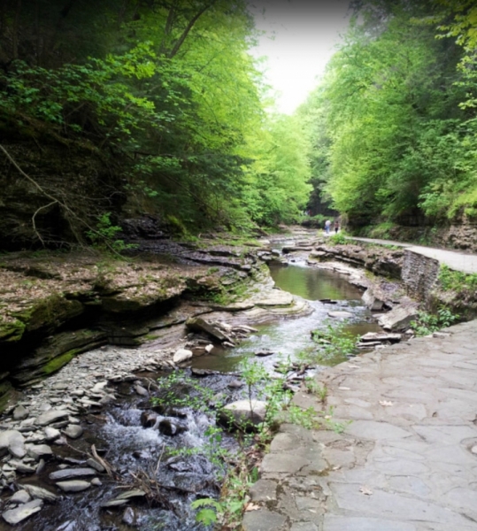 Finger Lakes весной.