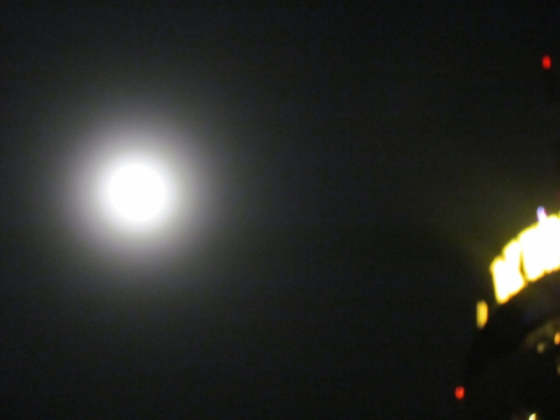 Мой первый Тай или верните меня обратно и навсегда!