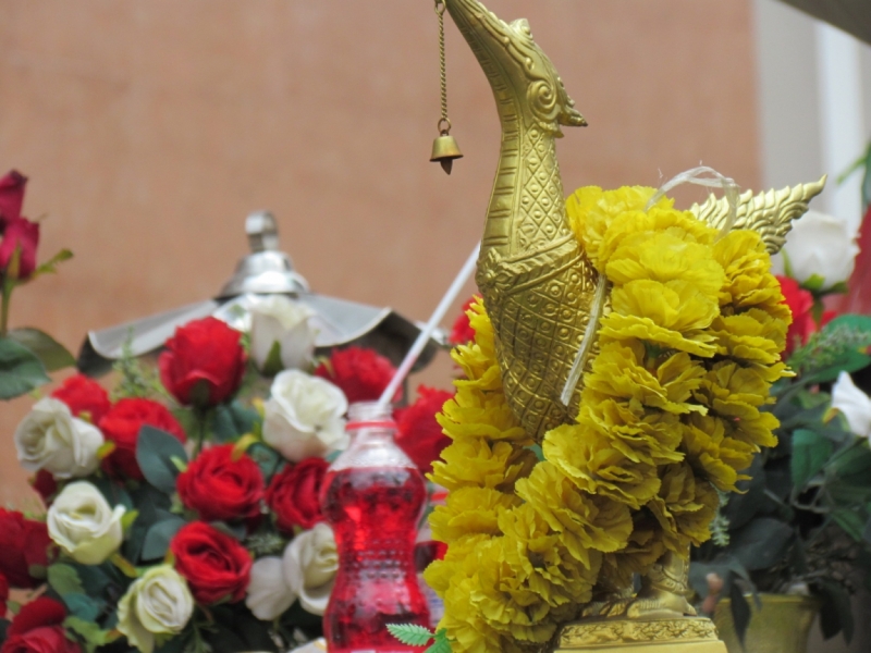 Мой первый Тай или верните меня обратно и навсегда!