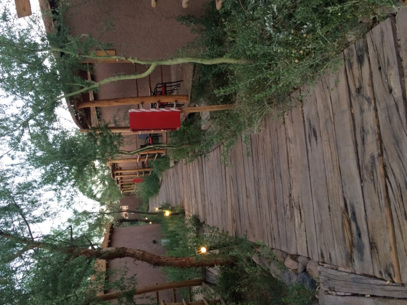 По Чили без машины