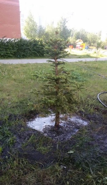 Принял на грудь, скажи что-нибудь! Трезвым вход запрещён!