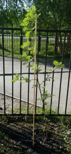 Принял на грудь, скажи что-нибудь! Трезвым вход запрещён!