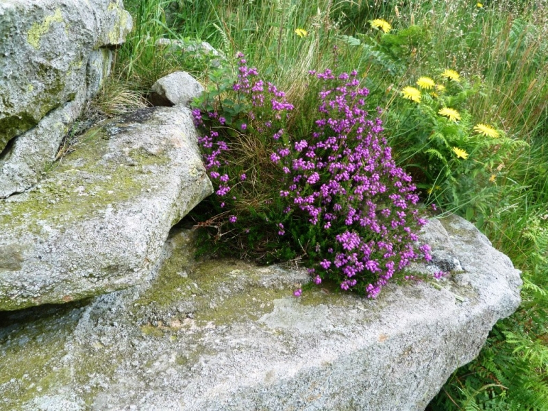 uk03