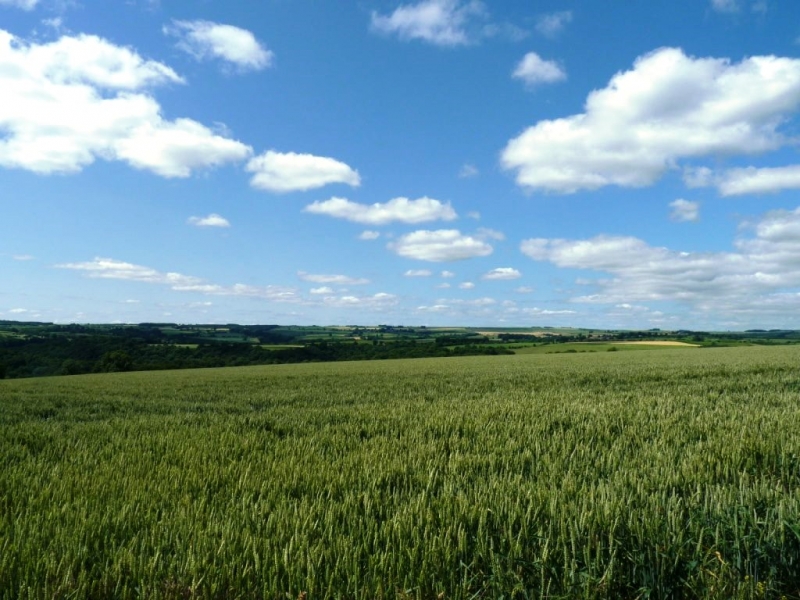 uk03