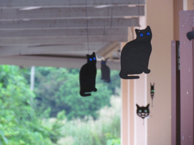 Мой первый Тай или верните меня обратно и навсегда!