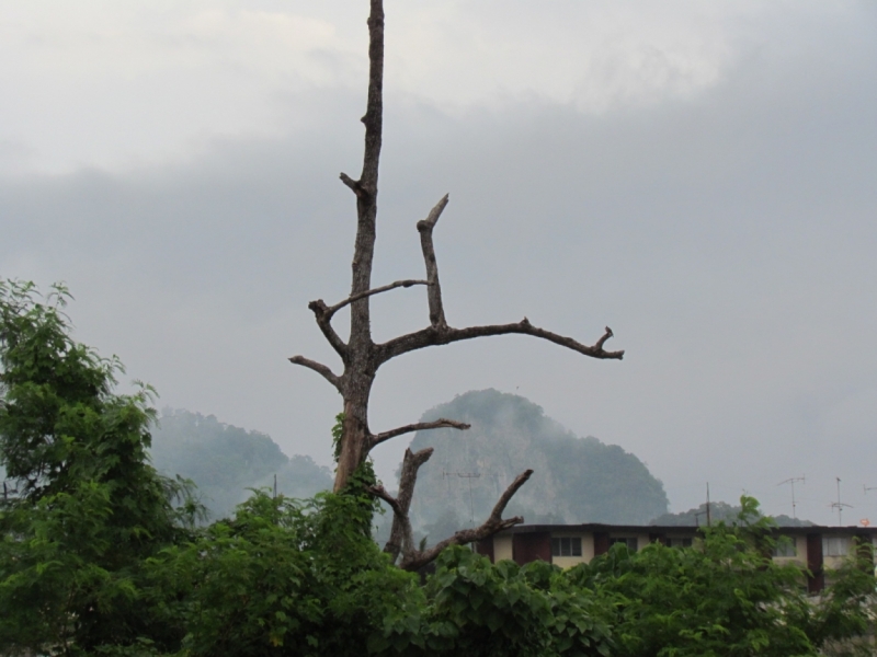 Мой первый Тай или верните меня обратно и навсегда!
