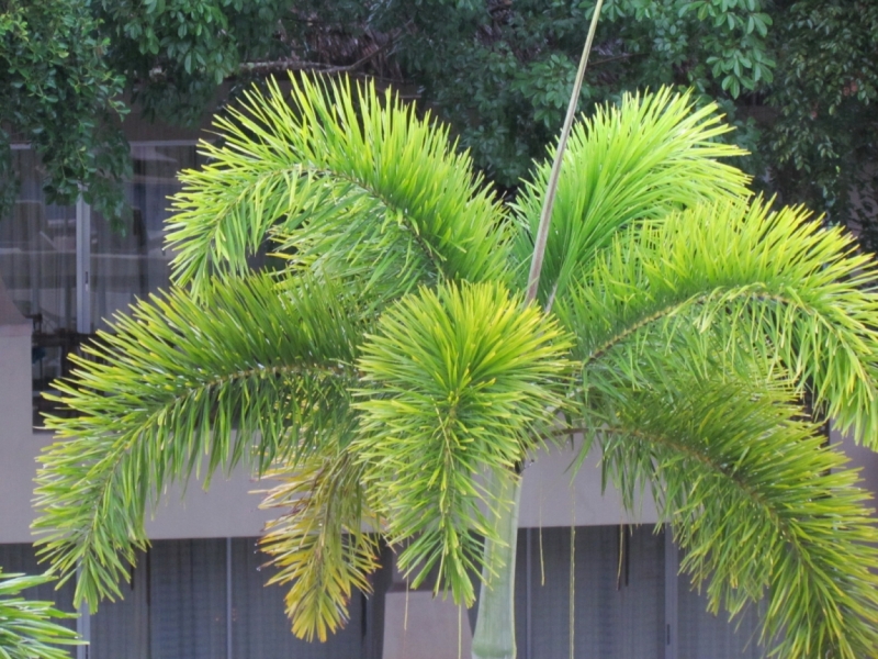 Мой первый Тай или верните меня обратно и навсегда!