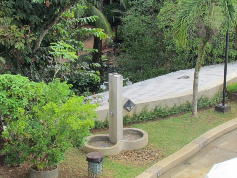 Мой первый Тай или верните меня обратно и навсегда!