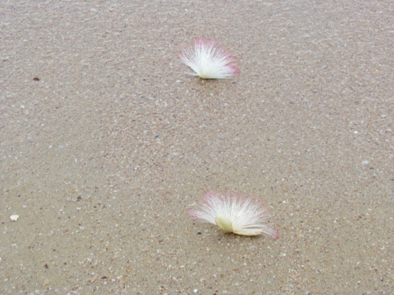 Мой первый Тай или верните меня обратно и навсегда!