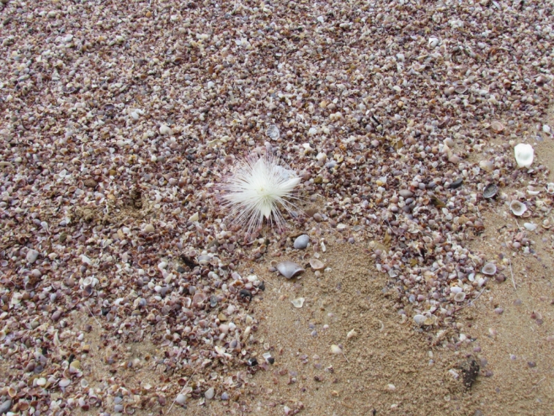 Мой первый Тай или верните меня обратно и навсегда!