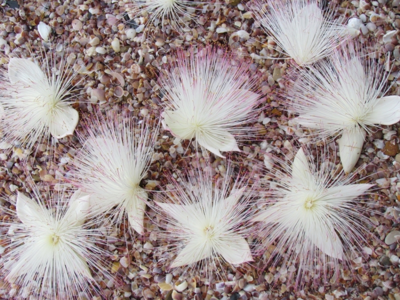 Мой первый Тай или верните меня обратно и навсегда!