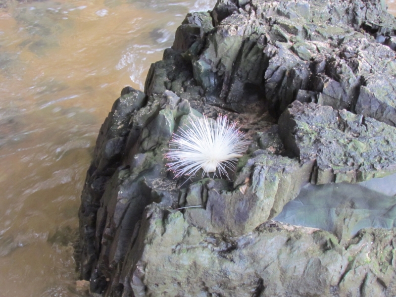 Мой первый Тай или верните меня обратно и навсегда!