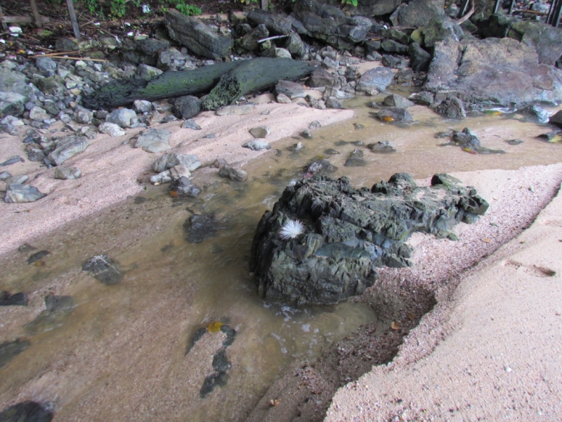 Мой первый Тай или верните меня обратно и навсегда!