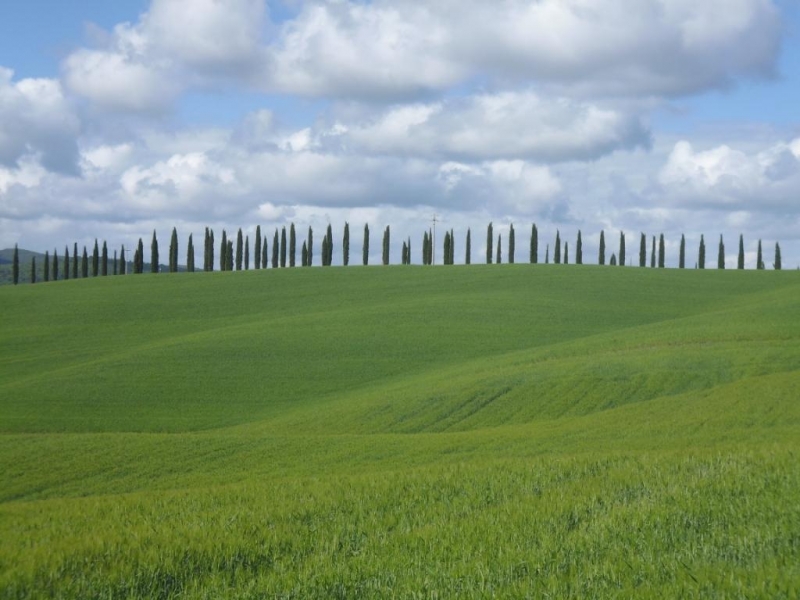 Via Francigena или все дороги ведут в Рим...