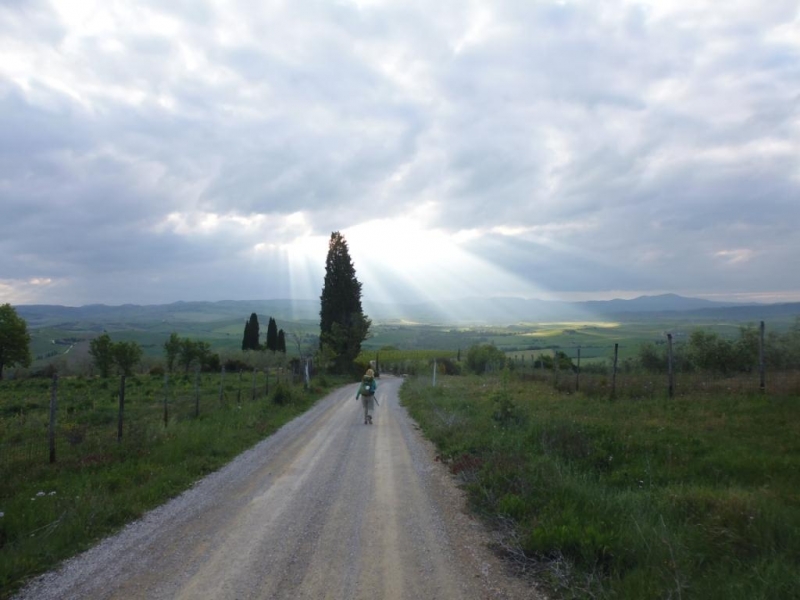 Via Francigena или все дороги ведут в Рим...