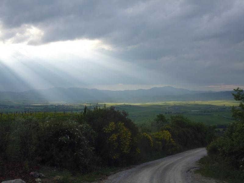 Via Francigena или все дороги ведут в Рим...