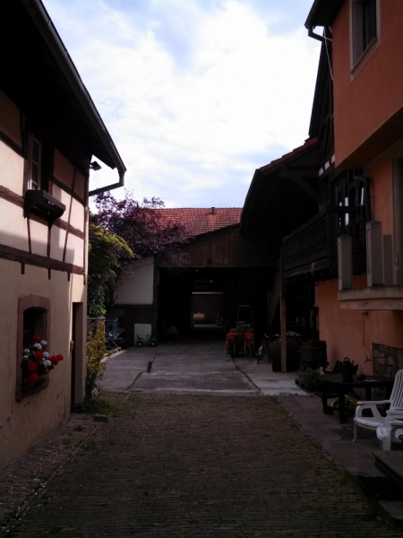 Эльзас глазами жителя