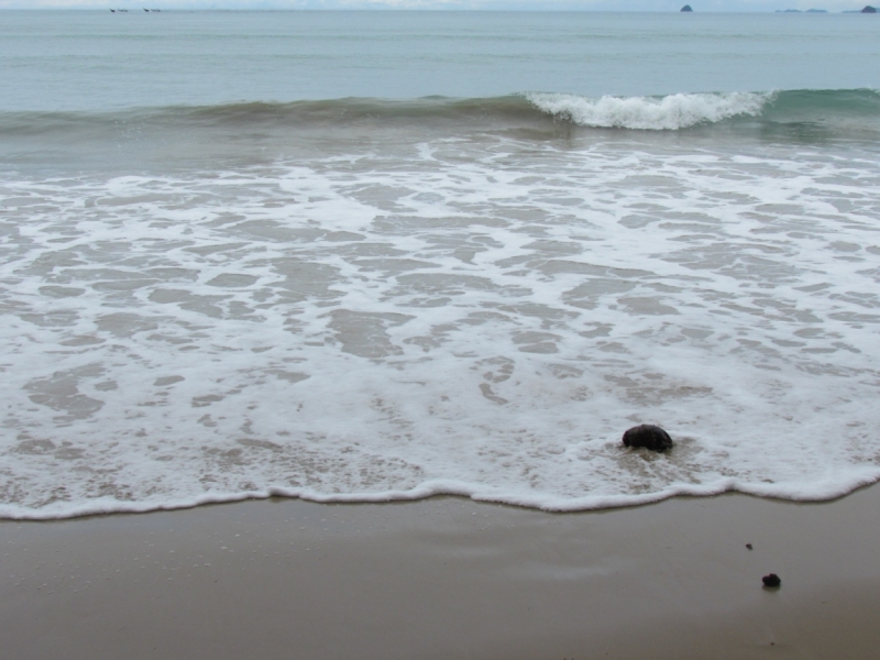 Мой первый Тай или верните меня обратно и навсегда!