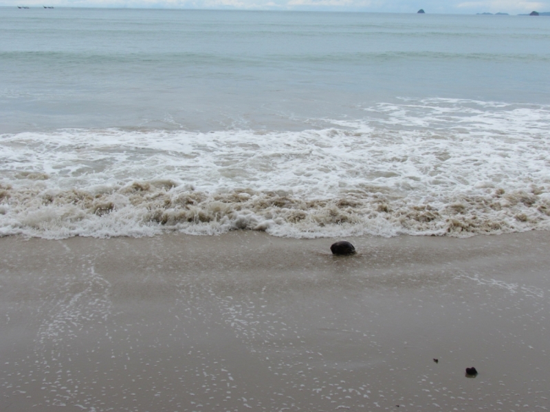 Мой первый Тай или верните меня обратно и навсегда!