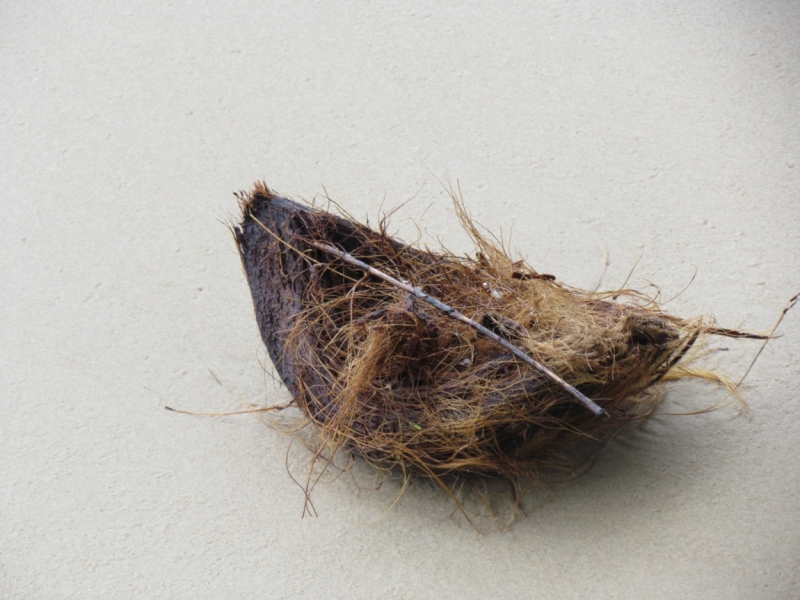 Мой первый Тай или верните меня обратно и навсегда!