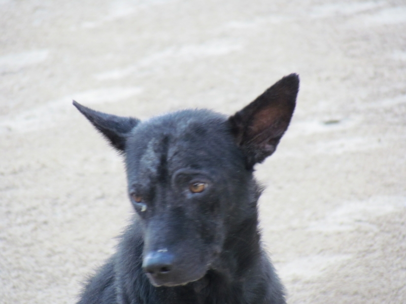 Мой первый Тай или верните меня обратно и навсегда!